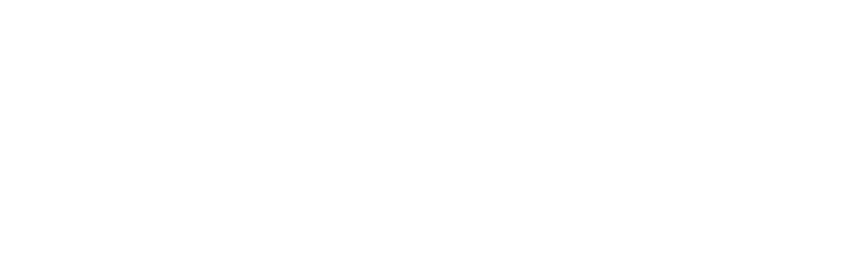 Diffus Logo